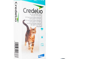 クレデリオ猫用（2.0-8.0kg） – ロチラネル