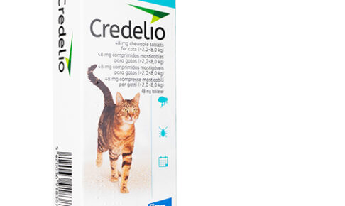 クレデリオ猫用（2.0-8.0kg） – ロチラネル