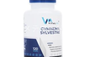 ギムネマシルベスタ「VitalMe」