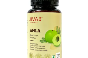 アムラ500mg120錠（アーユルヴェーダJIVA）