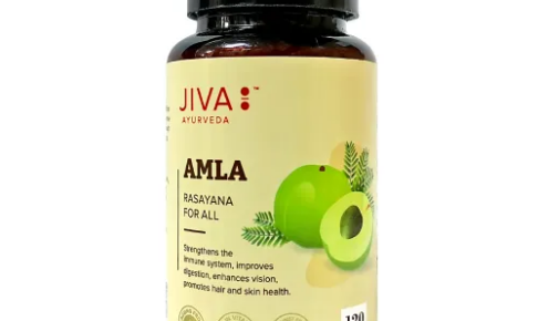 アムラ500mg120錠（アーユルヴェーダJIVA）