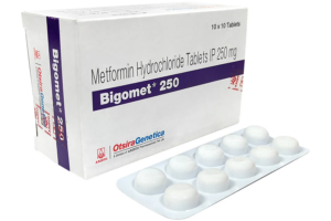 メトホルミン250mg100錠（ビゴメット）